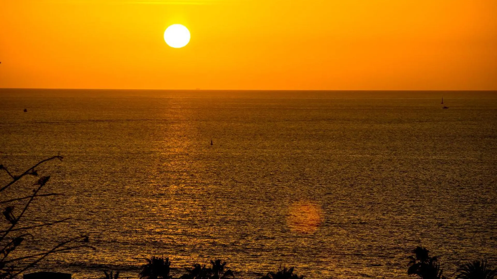 Ponderosa 619: Oceanview Apartment Near Siam Park Playa de las Americas  Spain