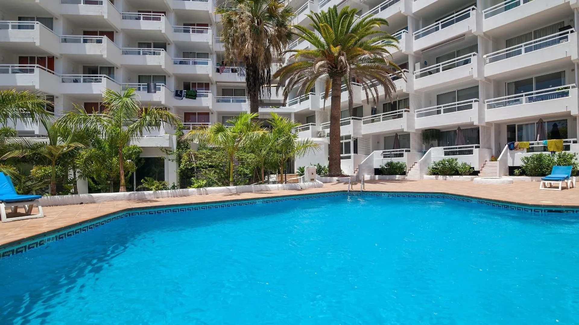 Ponderosa 619: Oceanview Apartment Near Siam Park Playa de las Americas  Spain