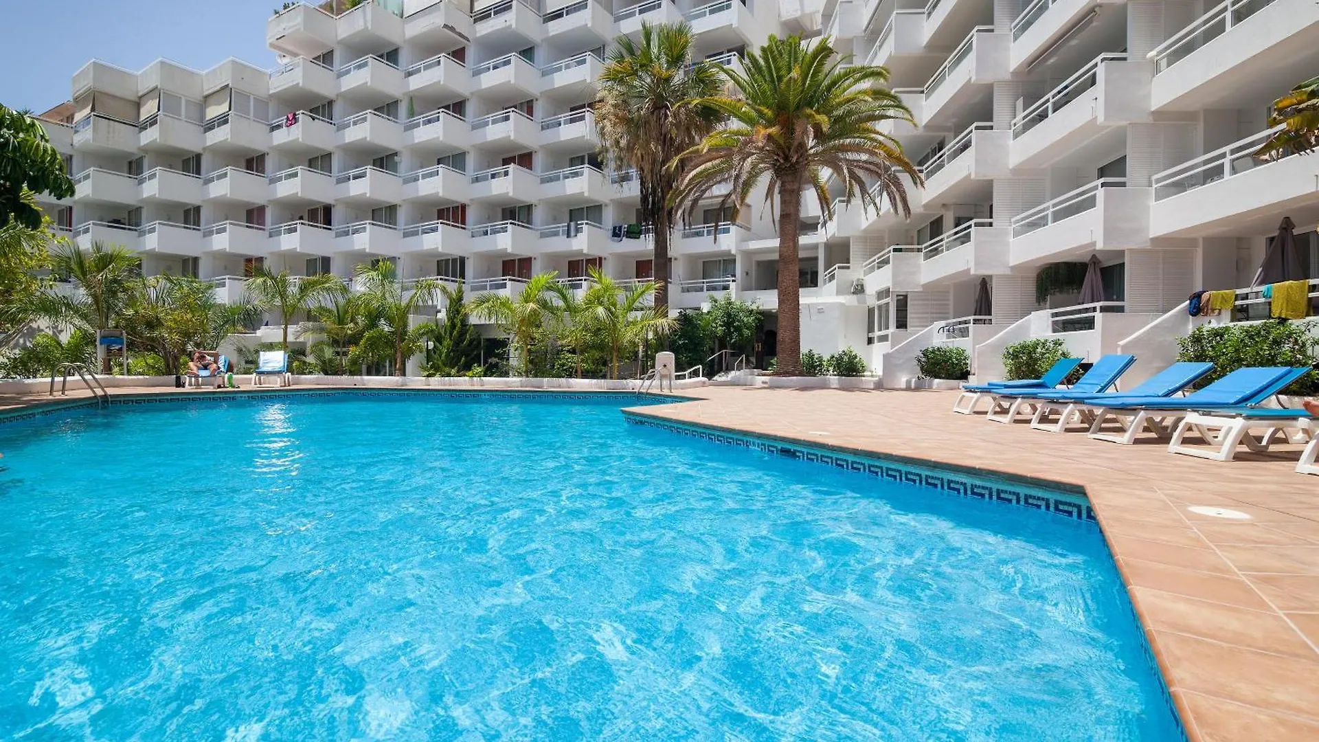 Ponderosa 619: Oceanview Apartment Near Siam Park Playa de las Americas  0*, Playa de las Americas (Tenerife)