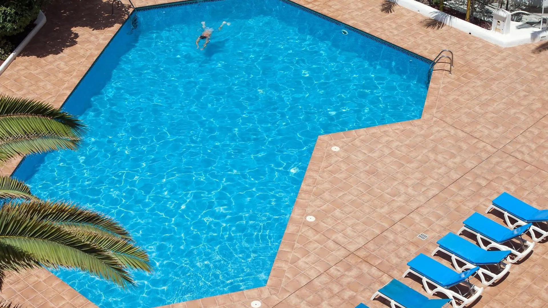 Ponderosa 619, Las Americas, 2 Bedroom Apartment With Large Terrace And Ocean View, Next To Siam Park contacts