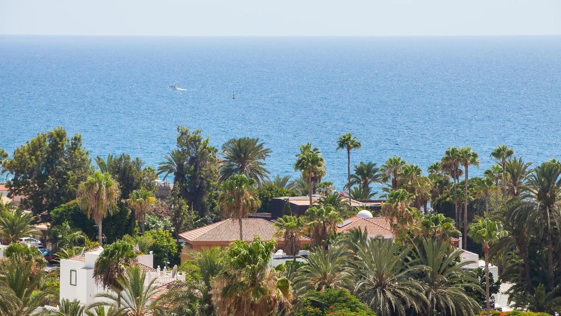 Ponderosa 619: Oceanview Apartment Near Siam Park Playa de las Americas