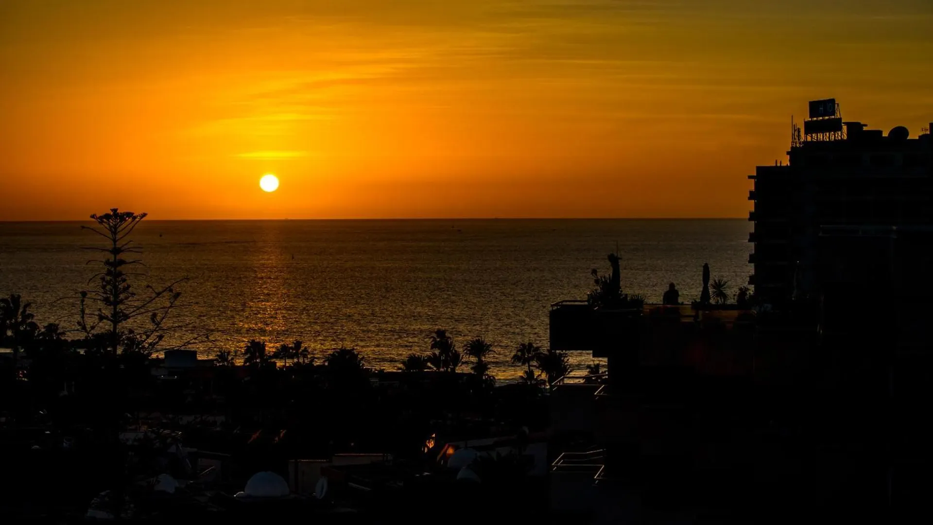 Ponderosa 619: Oceanview Apartment Near Siam Park Playa de las Americas